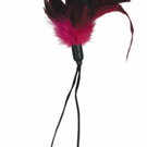 Sportsheets Pleasure Feather
