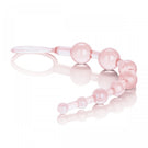 Shanes World Anal 101 Intro Beads