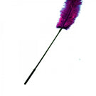 Sportsheets Ostrich Tickler