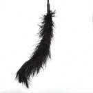 Sportsheets Ostrich Tickler