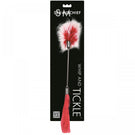 S&M Whipper Tickler