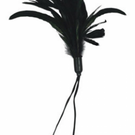 Sportsheets Pleasure Feather